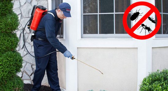 Söğütlü Kemirgen İlaçlama böcek ilaçlama ve haşere kontrolü — ilaclama-tr.com